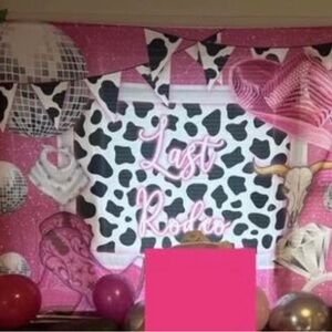Pink 'Last Rodeo' Party Backdrop - Home Party Supplies
